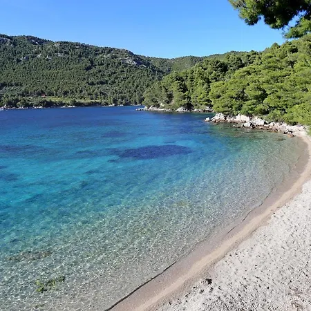 Holiday House With A Parking Space Zuljana, Peljesac - 19312 Ferienhaus